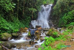 WISATA PONOROGO : Pendapatan Pariwisata Ditarget Rp1 Miliar, Terbesar dari Telaga Ngebel
