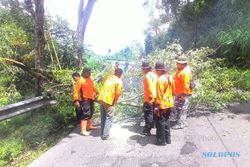 Sempat Bersitegang dengan Biker Moge, Relawan Tawangmangu Pangkasi Ranting Pohon