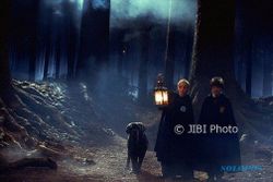 Hutan Terlarang di Film Harry Potter Dibuka untuk Umum