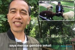 Vlog Terbaru Jokowi Bahas Kelahiran Kambing Peliharannya