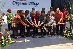 PERTANIAN JATENG : Tingkatkan Ekonomi Petani, Toyota Bikin Organic Village