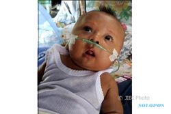 Jantung Bocor, Bayi  asal Sragen Ini Butuh Rp250 Juta untuk Operasi