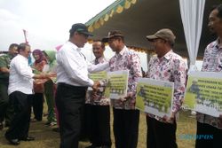 Mentan Tegaskan Gabah Petani Pasti Dibeli Rp3.700/kg oleh Bulog