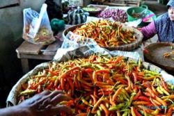 KOMODITAS PANGAN : Harga Cabai Rawit Merah di Pasar Solo Terus Naik, Sekarang Rp60.000/Kg