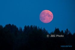 Fenomena Pink Moon Bakal Terlihat Malam Ini