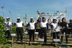 ABRASI PANTAI DEMAK : Leprid Catat Rekor Penanaman Mangrove Serentak