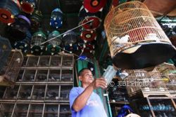 PASAR TRADISIONAL SEMARANG : Pasar Satwa Bakal Dipecah, Inilah Alasannya…