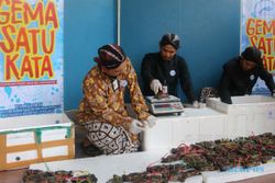 Ratusan Kepiting Bakau Disita di Bandara Adisutjipto