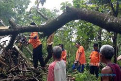 Puting Beliung Sragen, 40 Pohon Tumbang, Puluhan Rumah Rusak