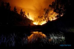 57 Orang Tewas dalam Kebakaran Hutan di Portugal