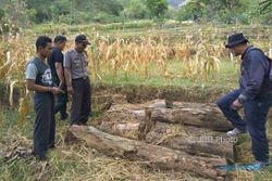 PENCURIAN PONOROGO : Curi 48 Batang Kayu di Hutan, 5 Pria Ditangkap Polisi