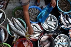 FOTO INFO BELANJA : Harga Ikan Laut di Pasar Bandarjo Naik