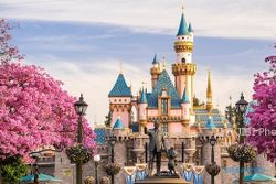 KISAH UNIK : Pria Kalifornia Kunjungi Disneyland 2.000 Hari Berturut-turut