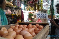 Harga Telur Ayam Melambung, Rp24.000 Per Kg