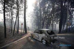 Korban Tewas Kebakaran Hutan Portugal Jadi 62