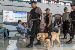 FOTO MUDIK 2017 : Stasiun Tawang Selalu Disisir Anjing