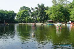 Murah & Santai, Ini Tempat Ngadem Terbaik di Kota Solo