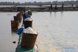 Tak Seasin Pantai Utara, Jejak Industri Garam Pantai Selatan Jawa