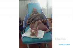 SATWA LIAR BOYOLALI : Nenek-Nenek Sebatang Kara Korban Serangan Monyet Batal Diamputasi