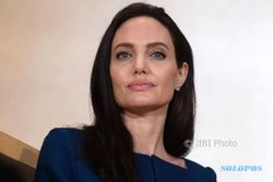 Stres Cerai dengan Brad Pitt, Angelina Jolie Jatuh Sakit