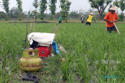 PERTANIAN SRAGEN : Petani Manfaatkan Elpiji 3 Kg untuk Bahan Bakar Pompa Air