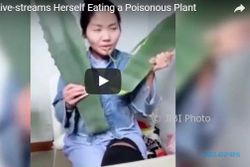 Vlogger China Luka Parah Usai Makan Tanaman yang Dikira Lidah Buaya