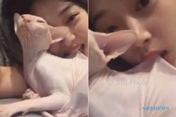 K-POP : Gigit Kucing saat Live Instagram, Mental Sulli Dipertanyakan