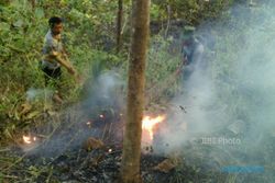 KEBAKARAN PONOROGO : Hutan Poko Terbakar 3,5 Hektare Diduga Akibat Puntung Rokok