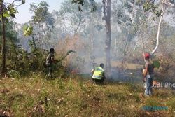 KEBAKARAN PONOROGO : 2 Ha Lahan di Hutan Sadranan Terbakar