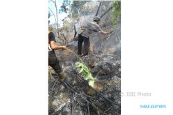 KEBAKARAN PONOROGO : Kejatuhan Balon Udara, Hutan Slahung Terbakar