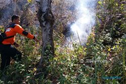 KEBAKARAN PONOROGO : Lahan Perhutani di Jambon Terbakar, Petugas Kesulitan Cari Air