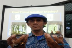 WISATA JOGJA : Kebun Plasma Nutfah Pisang Menuju Agrowisata