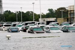 Selebritas Galang Bantuan untuk Korban Badai Harvey di Texas