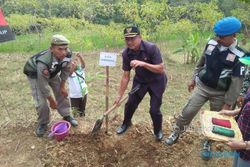 BENCANA PONOROGO : Cegah Tanah Longsor, 20.000 Pohon Karet Ditanam di Bekiring