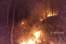 KEBAKARAN PONOROGO : Orang Gila Membakar Semak, 4 Ha Hutan di Jambon Hangus