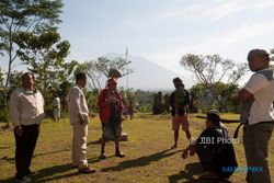 Fakultas Peternakan UGM Dirikan Posko Pengungsian Ternak Korban Gunung Agung