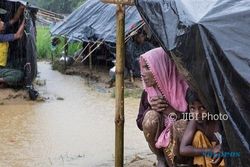 Pemerintah Myanmar Izinkan Warga Rohingya Kembali ke Rakhine