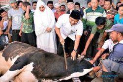 IDULADHA 2017 : Foto Wali Kota Semarang Berkurban Beredar, Begini Reaksi Warganet...