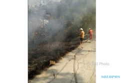 KEBAKARAN SRAGEN : 1,5 Hektare Kebun Jati Dekat Museum Sangiran Terbakar