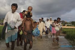 Pengungsi Rohingya Membludak, Bangladesh Buka Lahan Baru