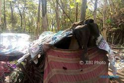 Dinsos Boyolali Diminta Evakuasi Nenek-Nenek Sebatang Kara di Gubuk Reyot