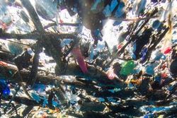 Mengerikan, Ditemukan Lautan Sampah Seluas 8 Km di Laut Karibia