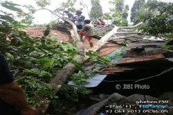 Rumah Warga Rusak Tertimpa Pohon Tumbang
