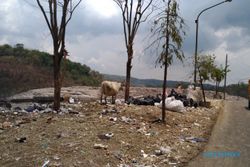 Sebuah Tempat Pembuangan Sampah Seluas 4,1 Hektare akan Dibangun di Prambanan