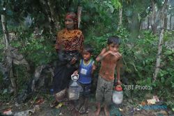 Gara-Gara Pengungsi Rohingya, Hutan di Bangladesh Rusak
