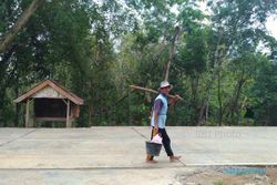 SATWA LIAR WONOGIRI : Warga Pokoh Kidul Lega Kera Tak Lagi Menyerang Kambing