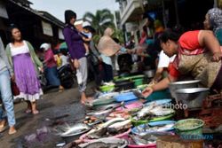 FOTO PASAR TRADISIONAL SEMARANG : Pedagang Tawarkan Ikan di Bandarjo
