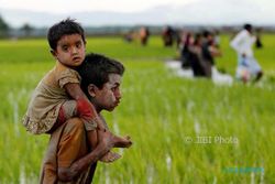 730 Anak Balita Rohingya Tewas dalam Tragedi Kekerasan di Rakhine