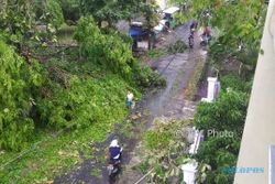 ANGIN KENCANG SUKOHARJO : Pohon Tumbang Timpa Kabel Telekomunikasi di Kartasura saat Hujan Deras