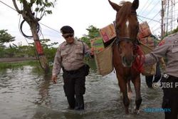BANJIR SEMARANG : Bantuan Korban Banjir di Genuk Diangkut Pakai Kuda